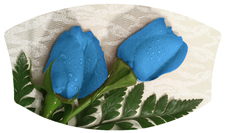 DNSWILL 051 2 Roses Blue